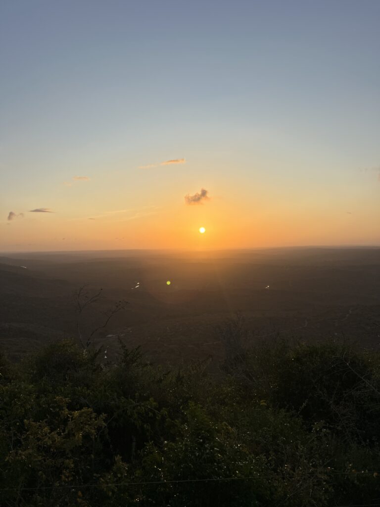 img 2666